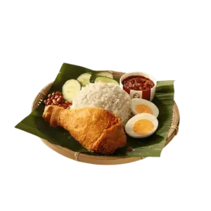 1-pc Nasi Lemak KFC